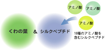 ミナト式くわ青汁　2.2g×60袋（スティックタイプ）