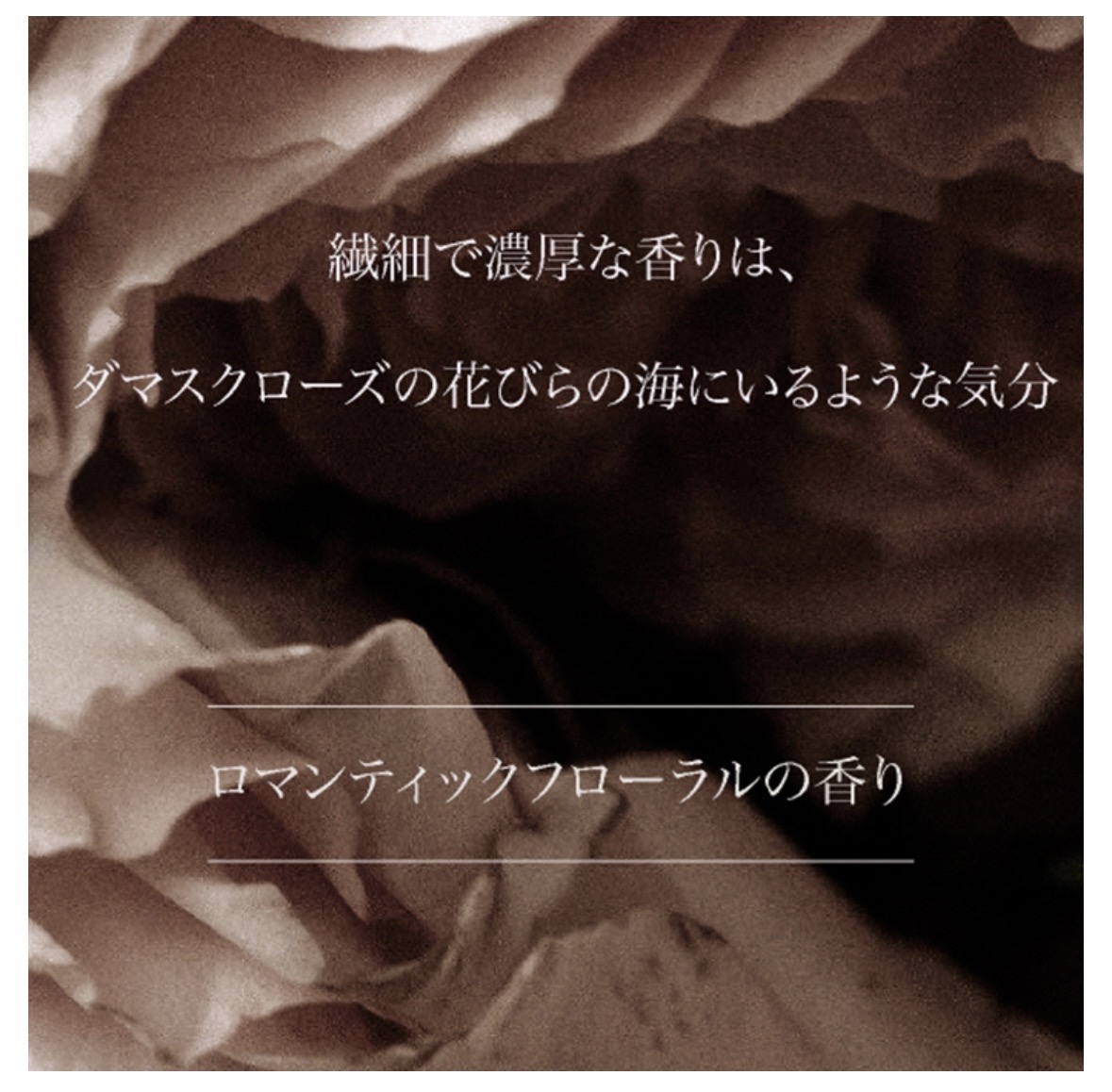 ARTiS di Voce ナリシングネイルオイル 10ml 3303n DAWNING ROSE