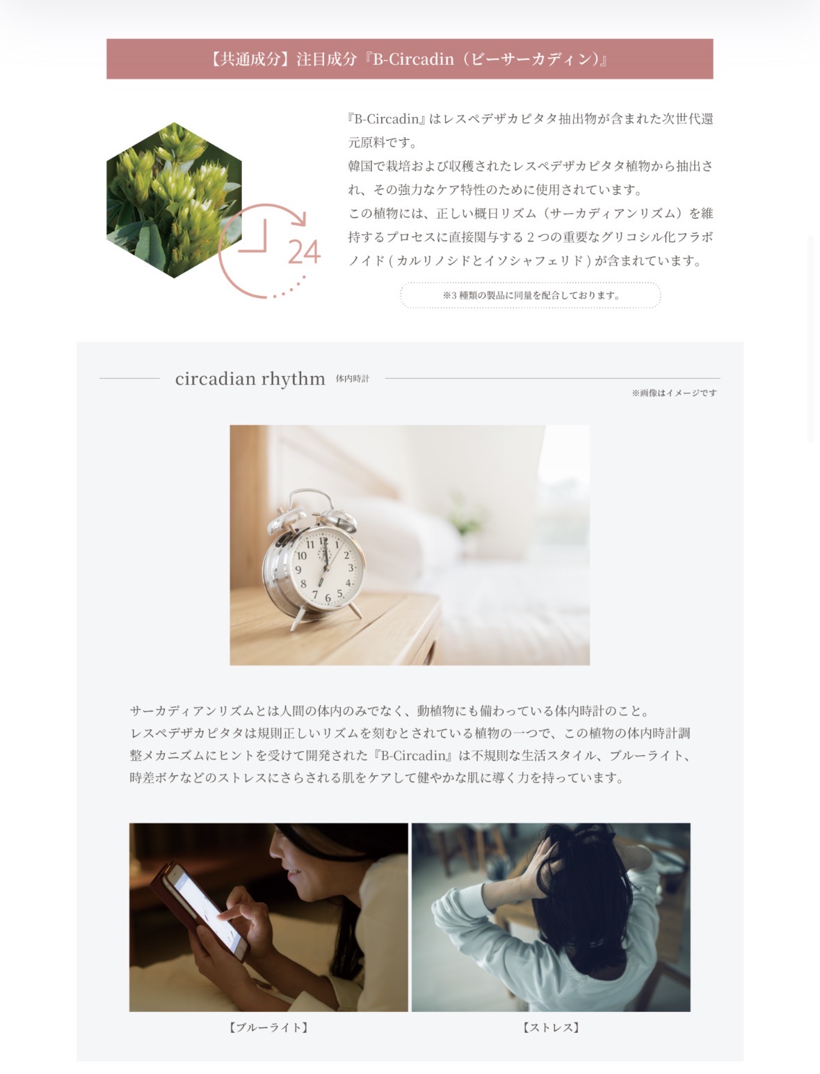 タイディリズムハンドクリーム75ml