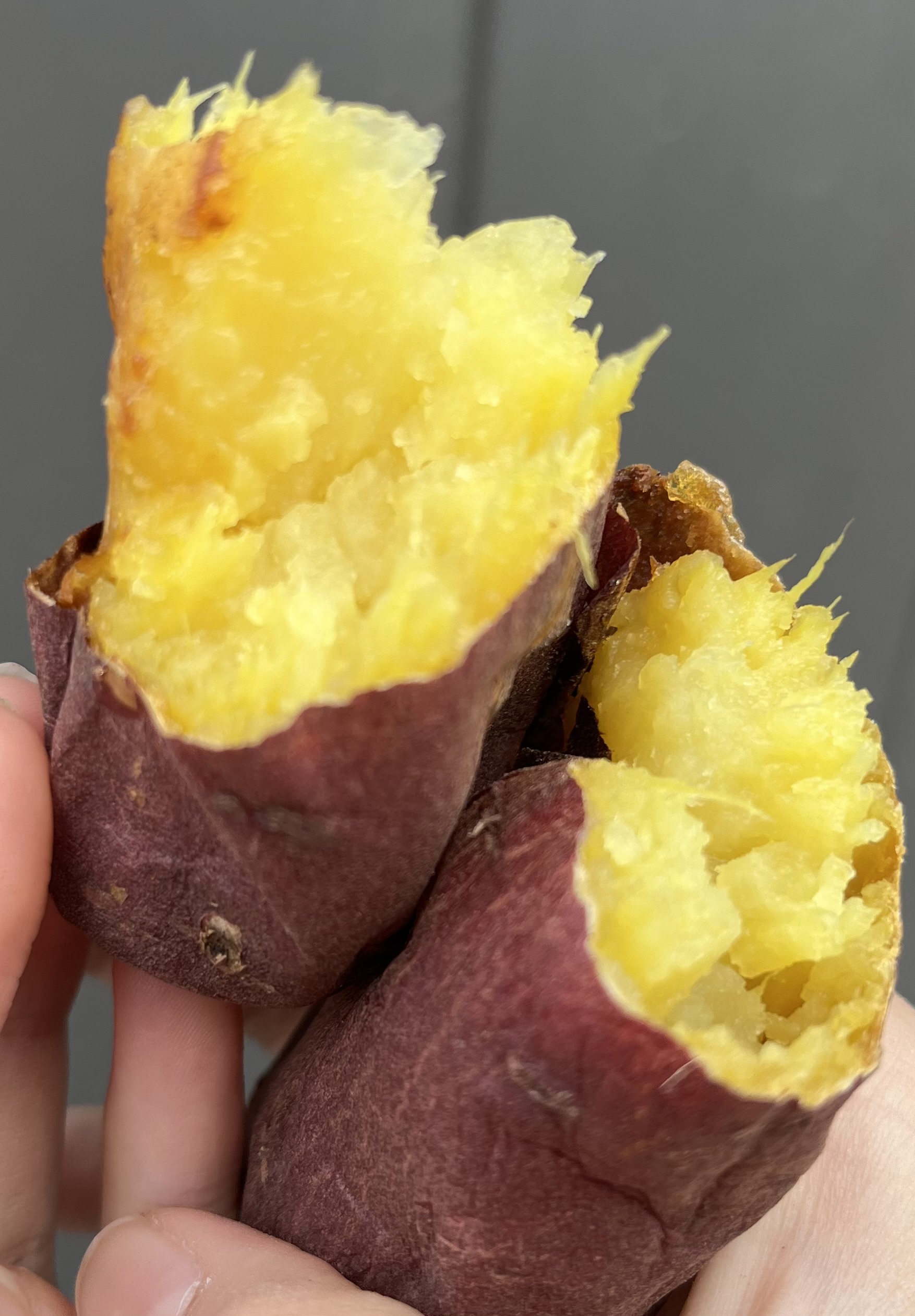 壺焼き芋　ギフトセット