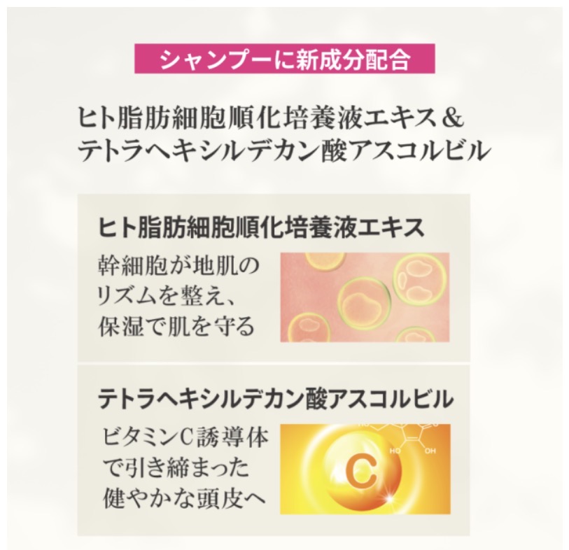 ゴクビプロ プレミアム グリーンティーアロマ シャンプー&トリートメントセット