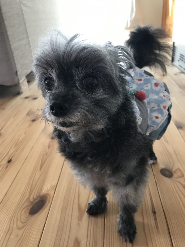 Relax＆Beauty Space　N's （ﾘﾗｯｸｽ ｱﾝﾄﾞ ﾋﾞｭｰﾃｨｰ ｽﾍﾟｰｽ ｴﾇｽﾞ）